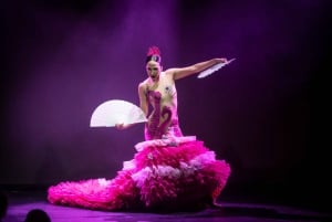 Tenerife: Olé Flamenco Show door Fran Chafino Ticket