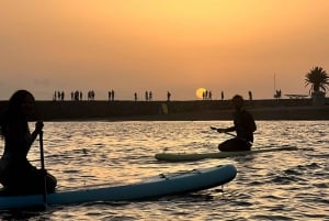 Tenerife: Paddleboard-oplevelse i Playa de las Américas
