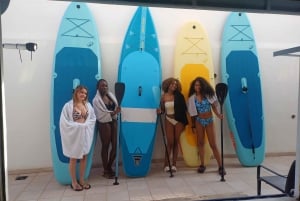 Tenerife: Paddleboard-oplevelse i Playa de las Américas