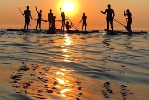 Tenerife: Paddleboard-oplevelse i Playa de las Américas