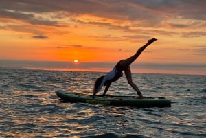 Tenerife: Paddleboard-oplevelse i Playa de las Américas