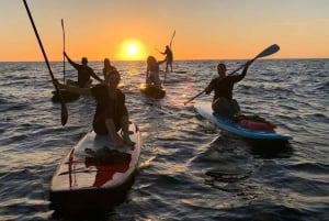 Tenerife: Paddleboard-oplevelse i Playa de las Américas