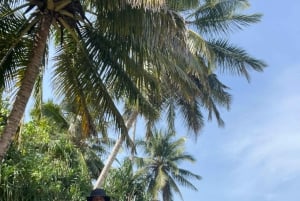 Paddle Surf & Snorkeling Experience in Playa de las Américas