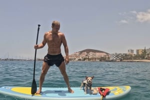 Tenerife: Paddleboard Rental