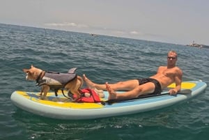 Tenerife: Paddleboard Rental