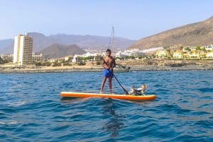 Tenerife: Paddleboard Rental