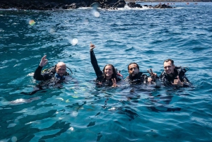 Tenerife: PADI Advanced Open Water Diver Course
