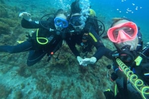 Teneriffa: PADI-Schnuppertauchgang in der Schildkrötenzone