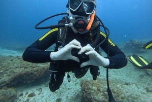 Teneriffa: PADI-Schnuppertauchgang in der Schildkrötenzone