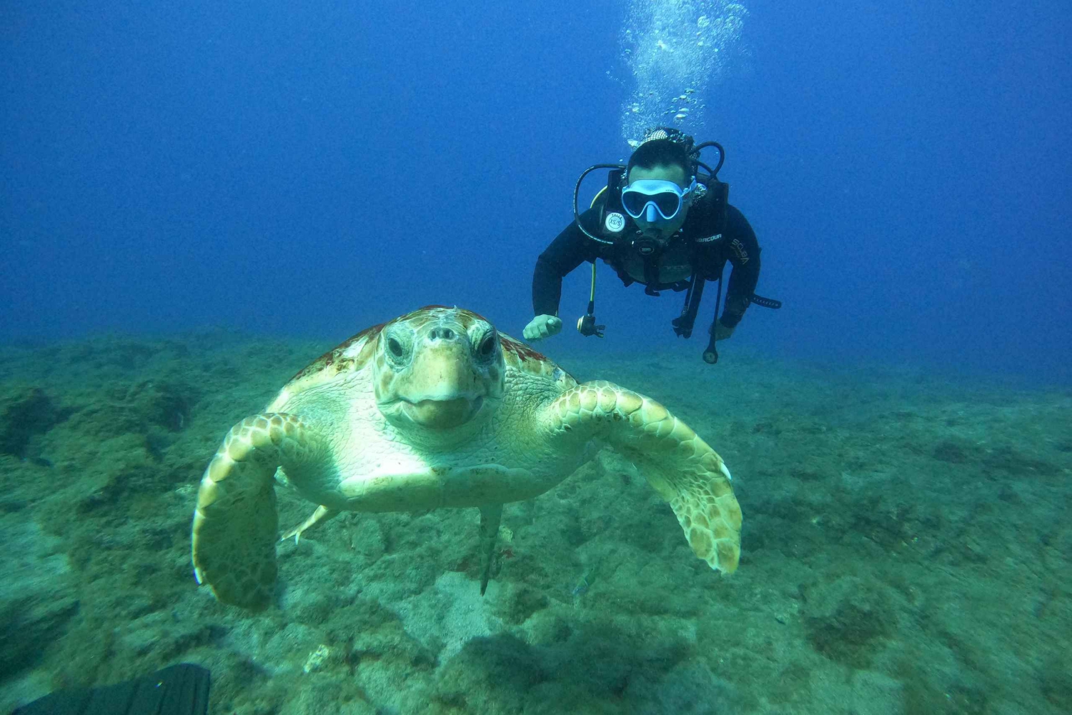 テネリフェ島：PADI オープン ウォーター ダイバー コース