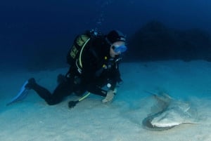 Tenerife: PADI Open Water Diver Course