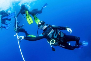 Tenerife: PADI Open Water Diver Course