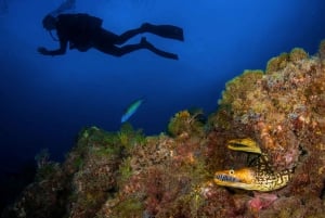 Tenerife: PADI Open Water Diver Course