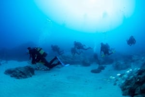 Tenerife: PADI Open Water Diver Course