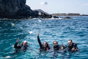 テネリフェ島：PADI オープン ウォーター ダイバー コース