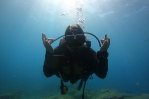 テネリフェ島：PADI オープン ウォーター ダイバー コース