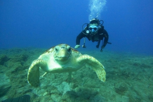 テネリフェ島：PADI オープン ウォーター ダイバー コース