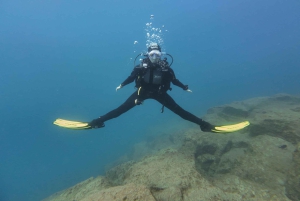 テネリフェ島：PADI オープン ウォーター ダイバー コース