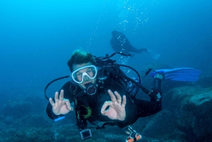 テネリフェ島：PADI オープン ウォーター ダイバー コース
