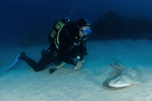 テネリフェ島：PADI オープン ウォーター ダイバー コース