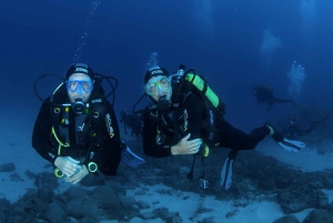 テネリフェ島：PADI オープン ウォーター ダイバー コース