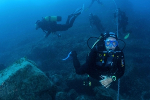 テネリフェ島：PADI オープン ウォーター ダイバー コース