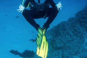 テネリフェ島：PADI オープン ウォーター ダイバー コース