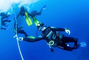 テネリフェ島：PADI オープン ウォーター ダイバー コース