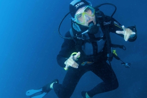 テネリフェ島：PADI オープン ウォーター ダイバー コース