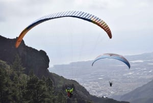Tenerife: Paragliding Flight