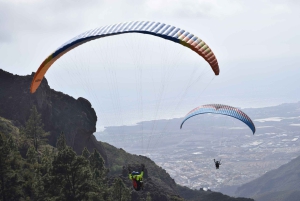 Tenerife: Paragliding Flight