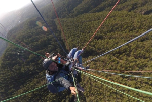 Tenerife: Paragliding Flight