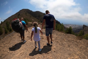 Tenerife: Paragliding with National Champion Paraglider