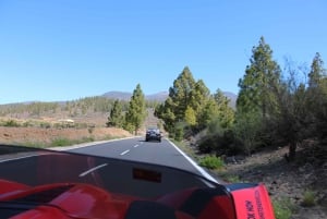 Tenerife: Pino Gordo Self-Drive Slingshot Tour