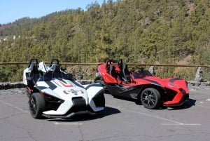 Tenerife: Pino Gordo Self-Drive Slingshot Tour