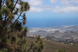 Tenerife: Pino Gordo Self-Drive Slingshot Tour