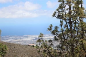 Tenerife: Pino Gordo Self-Drive Slingshot Tour