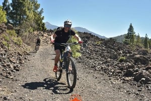 Tenerife: premium e-bike ride at Chineyro volcanic area