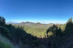 Tenerife: premium e-bike ride at Chineyro volcanic area