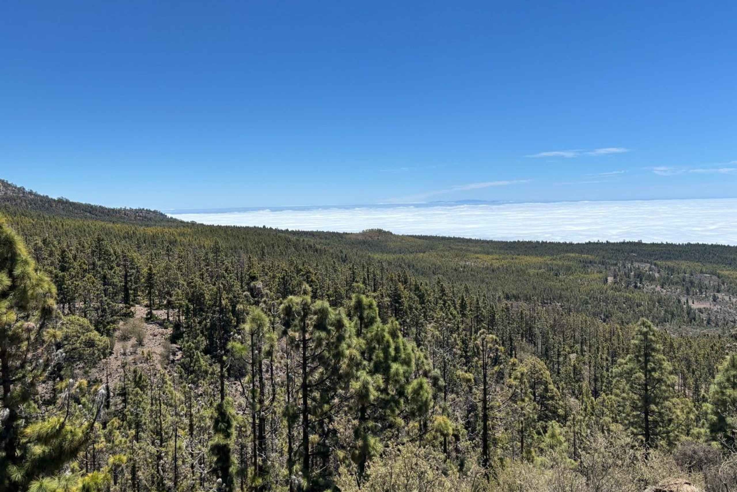 Tenerife: eersteklas e-biketocht in Vilaflor- Maanlandschap