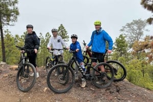 Tenerife: eersteklas e-biketocht in Vilaflor- Maanlandschap