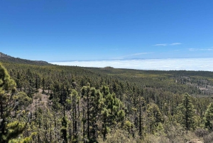 Tenerife: eersteklas e-biketocht in Vilaflor- Maanlandschap