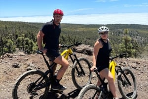 Tenerife: eersteklas e-biketocht in Vilaflor- Maanlandschap