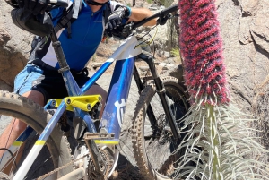 Tenerife: eersteklas e-biketocht in Vilaflor- Maanlandschap