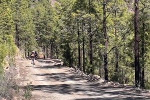 Tenerife: eersteklas e-biketocht in Vilaflor- Maanlandschap