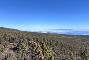 Tenerife: eersteklas e-biketocht in Vilaflor- Maanlandschap