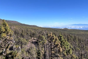 Tenerife: eersteklas e-biketocht in Vilaflor- Maanlandschap