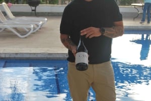 Tenerife: Privat vinsmagning på din villa