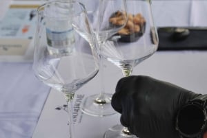 Tenerife: Privat vinsmagning på din villa