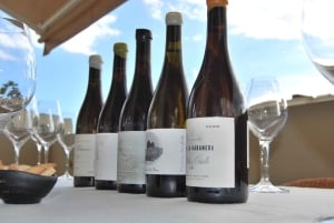 Tenerife: Privat vinsmagning på din villa